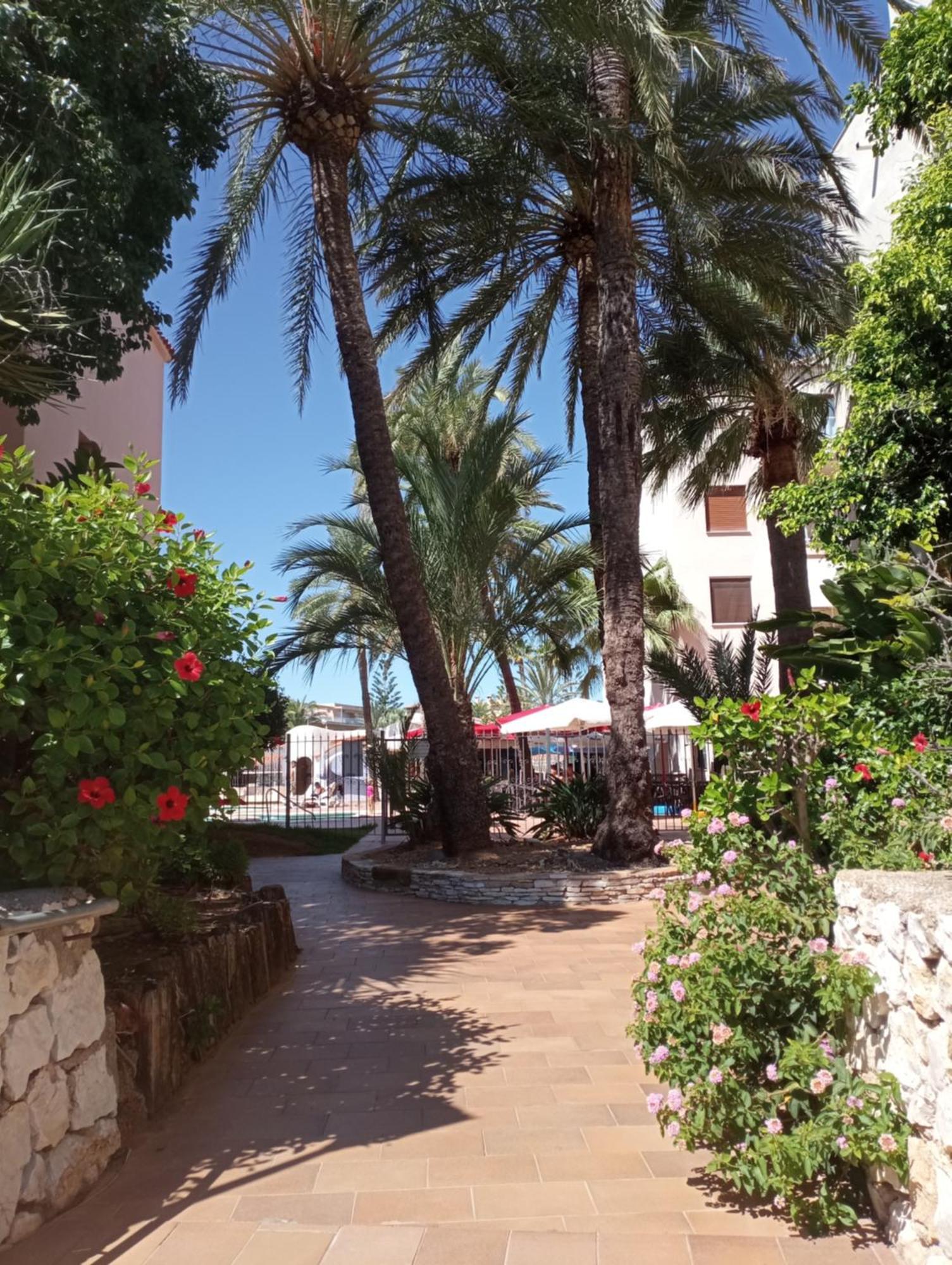 Apartamento Parchis Con Piscina Denia Exteriör bild